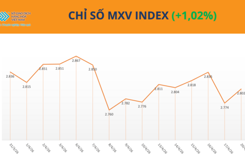 <a href="/kinh-te" title="Kinh tế" rel="dofollow">Kinh tế</a>