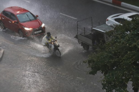 <a href="/moi-truong" title="Môi trường" rel="dofollow">Môi trường</a>