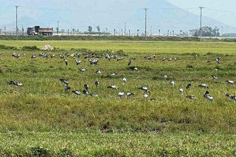 <a href="/tin-tuc" title="Tin tức" rel="dofollow">Tin tức</a>