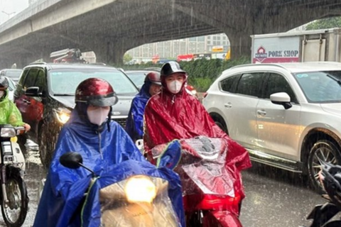 <a href="/moi-truong" title="Môi trường" rel="dofollow">Môi trường</a>