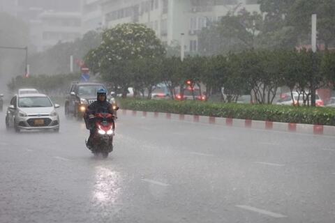 <a href="/moi-truong" title="Môi trường" rel="dofollow">Môi trường</a>