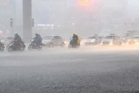 <a href="/moi-truong" title="Môi trường" rel="dofollow">Môi trường</a>