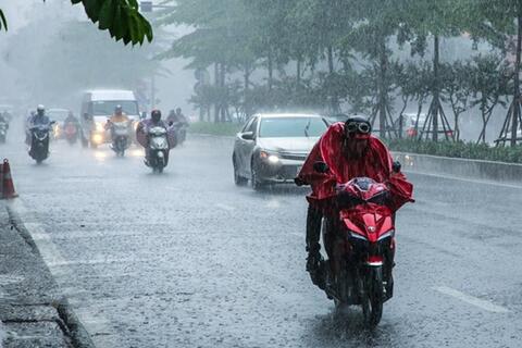 <a href="/moi-truong" title="Môi trường" rel="dofollow">Môi trường</a>