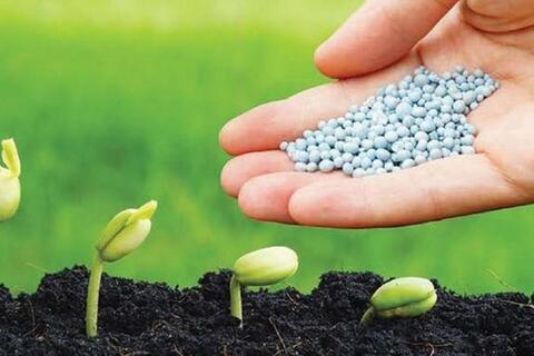 <a href="/kinh-te" title="Kinh tế" rel="dofollow">Kinh tế</a>
