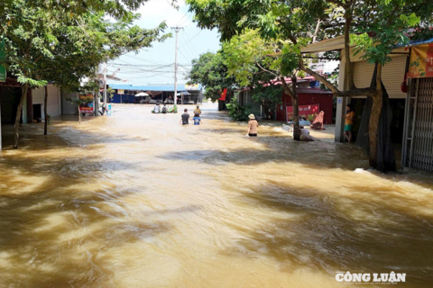 <a href="/moi-truong" title="Môi trường" rel="dofollow">Môi trường</a>