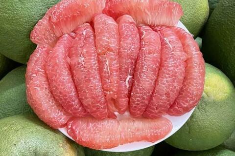 <a href="/y-te" title="Y tế" rel="dofollow">Y tế</a>