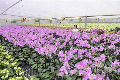 <a href="/moi-truong" title="Môi trường" rel="dofollow">Môi trường</a>
