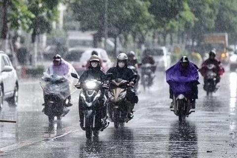 <a href="/moi-truong" title="Môi trường" rel="dofollow">Môi trường</a>