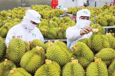 <a href="/kinh-te" title="Kinh tế" rel="dofollow">Kinh tế</a>