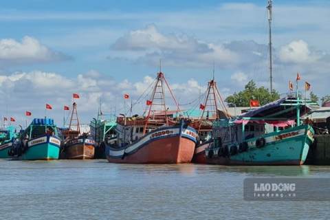 <a href="/tin-tuc" title="Tin tức" rel="dofollow">Tin tức</a>