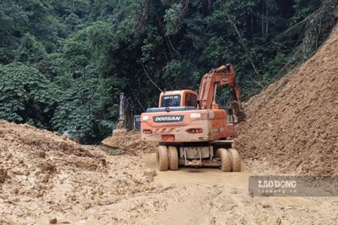 <a href="/tin-tuc" title="Tin tức" rel="dofollow">Tin tức</a>
