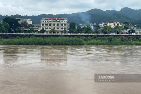 <a href="/tin-tuc" title="Tin tức" rel="dofollow">Tin tức</a>