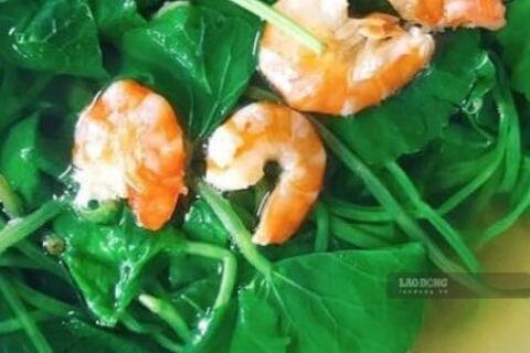 <a href="/y-te" title="Y tế" rel="dofollow">Y tế</a>