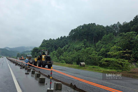 <a href="/tin-tuc" title="Tin tức" rel="dofollow">Tin tức</a>