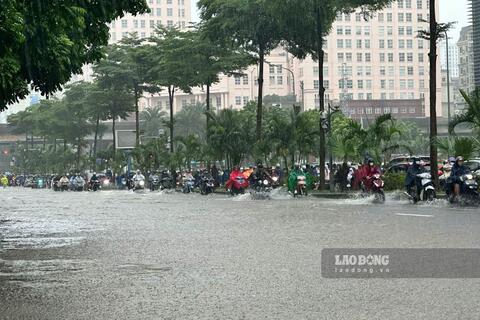 <a href="/moi-truong" title="Môi trường" rel="dofollow">Môi trường</a>