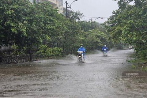 <a href="/moi-truong" title="Môi trường" rel="dofollow">Môi trường</a>