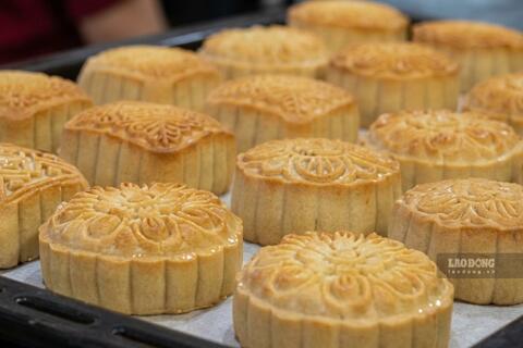 <a href="/y-te" title="Y tế" rel="dofollow">Y tế</a>