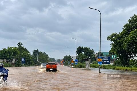 <a href="/moi-truong" title="Môi trường" rel="dofollow">Môi trường</a>
