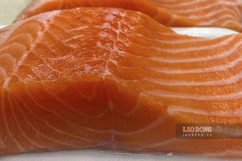 <a href="/y-te" title="Y tế" rel="dofollow">Y tế</a>