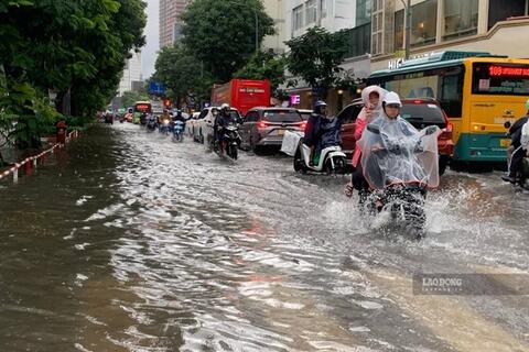 <a href="/moi-truong" title="Môi trường" rel="dofollow">Môi trường</a>