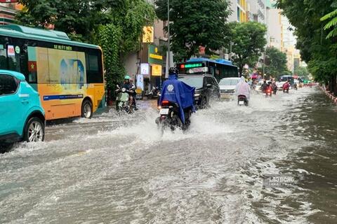 <a href="/moi-truong" title="Môi trường" rel="dofollow">Môi trường</a>