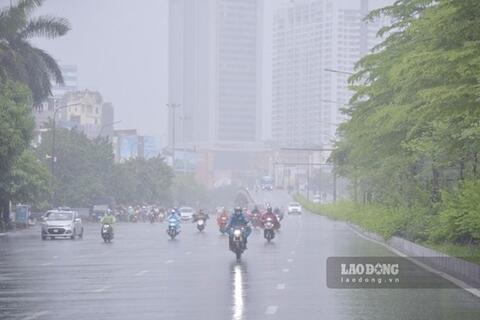 <a href="/moi-truong" title="Môi trường" rel="dofollow">Môi trường</a>