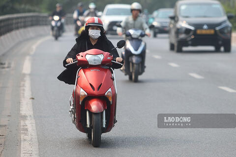 <a href="/moi-truong" title="Môi trường" rel="dofollow">Môi trường</a>
