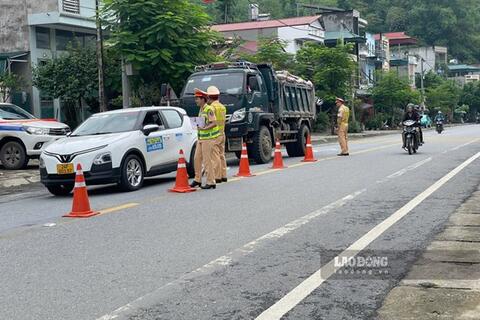<a href="/tin-tuc" title="Tin tức" rel="dofollow">Tin tức</a>