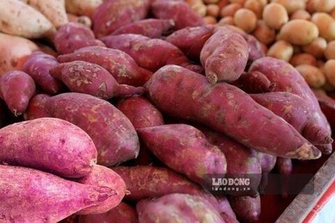 <a href="/y-te" title="Y tế" rel="dofollow">Y tế</a>