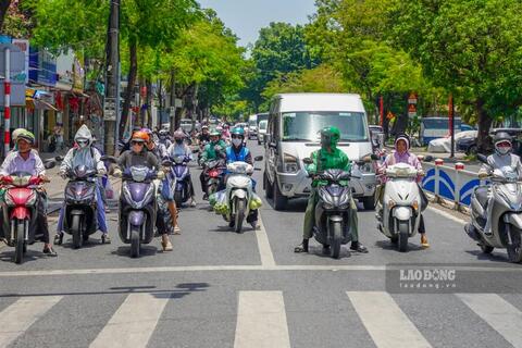 <a href="/moi-truong" title="Môi trường" rel="dofollow">Môi trường</a>
