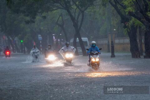 <a href="/moi-truong" title="Môi trường" rel="dofollow">Môi trường</a>