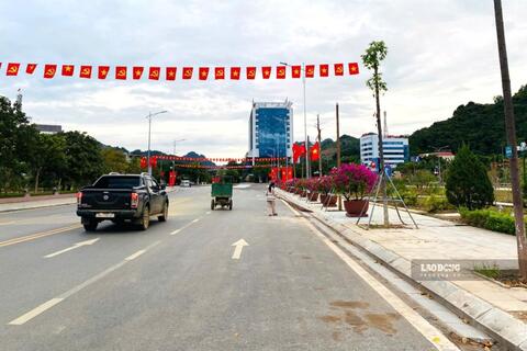 <a href="/tin-tuc" title="Tin tức" rel="dofollow">Tin tức</a>