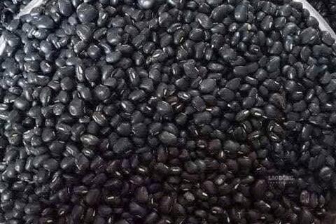 <a href="/y-te" title="Y tế" rel="dofollow">Y tế</a>