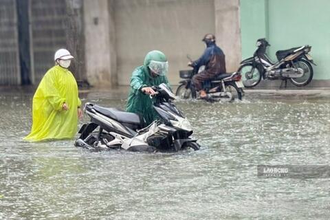<a href="/moi-truong" title="Môi trường" rel="dofollow">Môi trường</a>