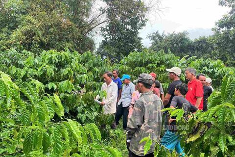 <a href="/tin-tuc" title="Tin tức" rel="dofollow">Tin tức</a>