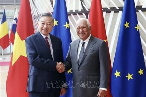 <a href="/tin-tuc" title="Tin tức" rel="dofollow">Tin tức</a>