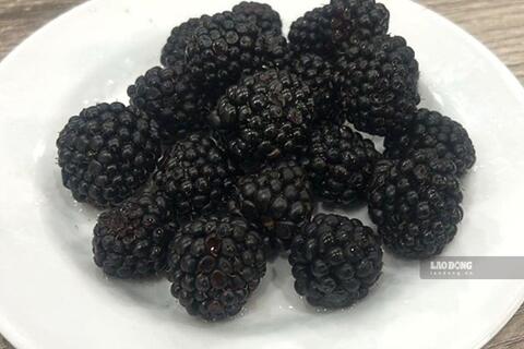 <a href="/y-te" title="Y tế" rel="dofollow">Y tế</a>