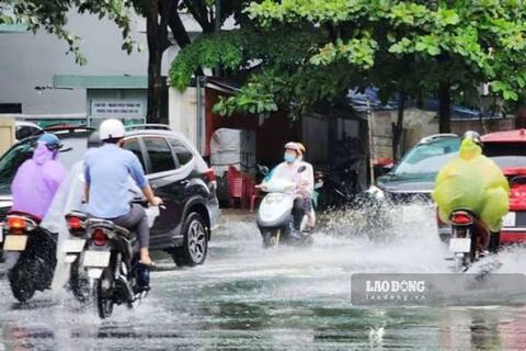 <a href="/moi-truong" title="Môi trường" rel="dofollow">Môi trường</a>