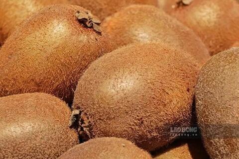 <a href="/y-te" title="Y tế" rel="dofollow">Y tế</a>