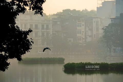<a href="/moi-truong" title="Môi trường" rel="dofollow">Môi trường</a>