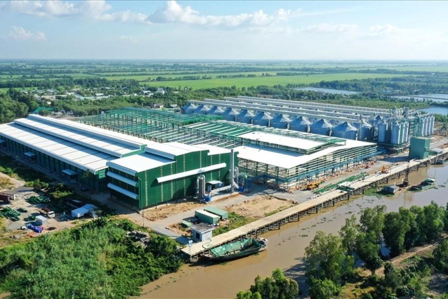 Nhà máy gạo Hạnh phúc được xây dựng trên diện tích 161.000m2, quy mô lớn nhất châu Á. Ảnh: T.Long