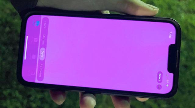 Nhiều iPhone 13 gặp lỗi "màn hình hồng", Apple cho rằng không phải lỗi phần cứng - Ảnh 1.