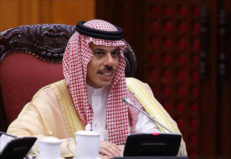 Thủ tướng đề nghị Quỹ Phát triển Saudi Arabia tăng qui mô ưu đãi cho các dự án hỗ trợ người dân Việt Nam ảnh 2