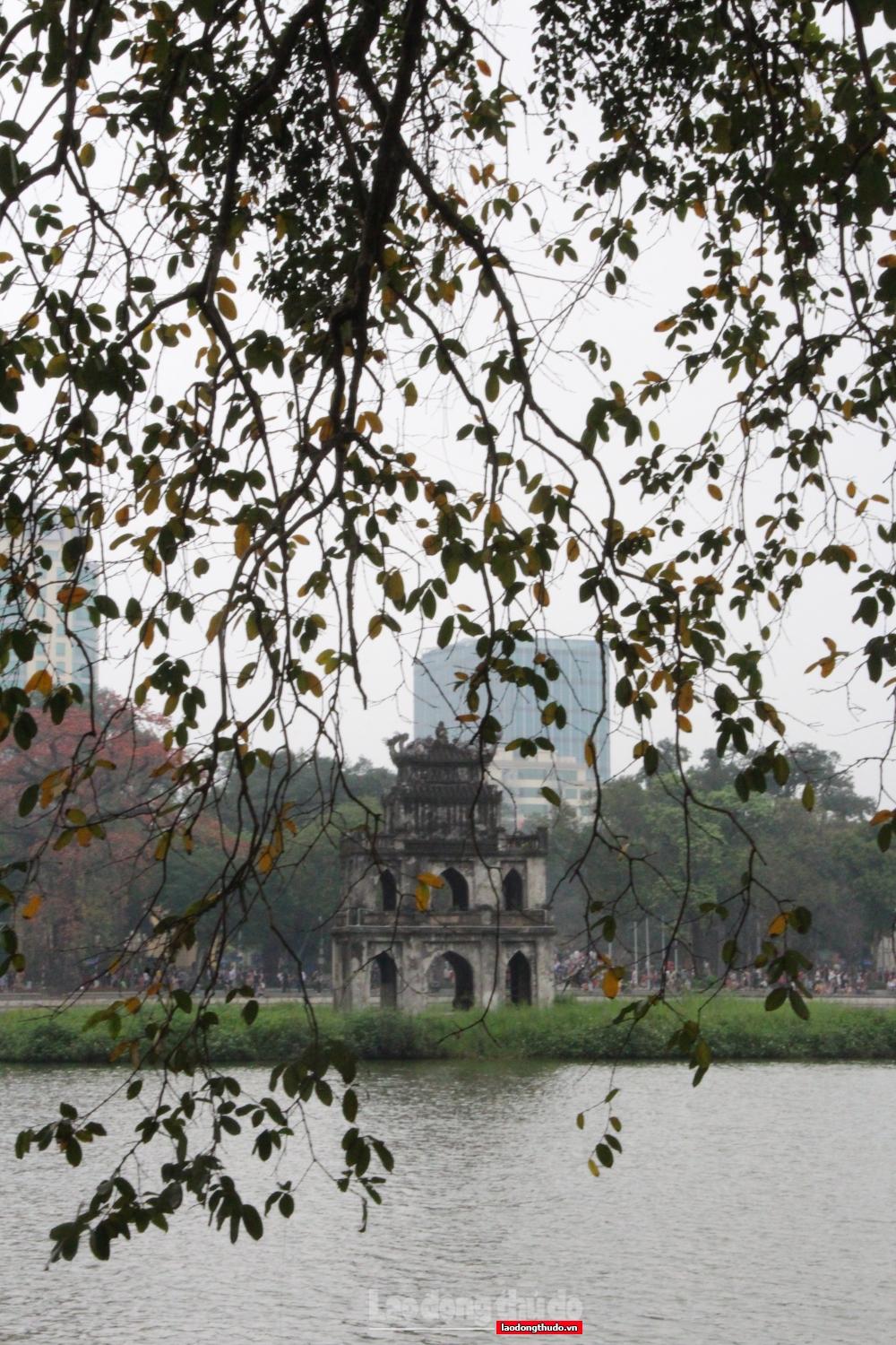 Ngắm khung cảnh bình yên của Hà Nội vào mùa cây thay lá Ngắm khung cảnh bình yên của Hà Nội mùa cây thay lá