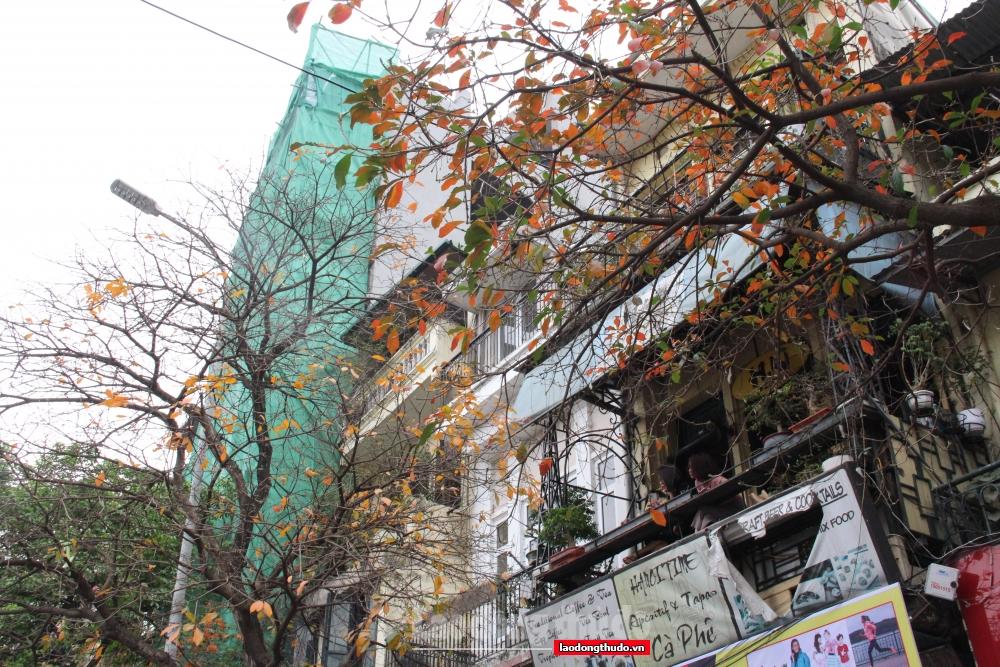 Ngắm khung cảnh bình yên của Hà Nội vào mùa cây thay lá Ngắm khung cảnh bình yên của Hà Nội mùa cây thay lá