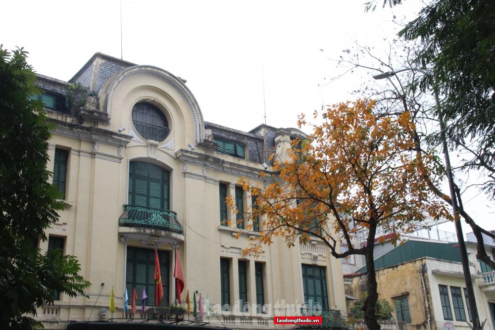 Ngắm khung cảnh bình yên của Hà Nội vào mùa cây thay lá Ngắm khung cảnh bình yên của Hà Nội mùa cây thay lá