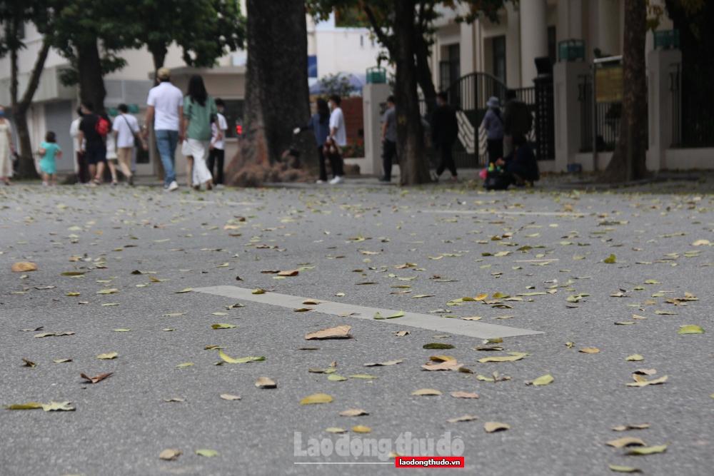 Ngắm khung cảnh bình yên của Hà Nội vào mùa cây thay lá Ngắm khung cảnh bình yên của Hà Nội mùa cây thay lá