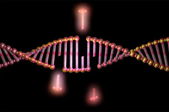 Thế giới thắt chặt quy định chỉnh sửa gene di truyền của con người ảnh 3