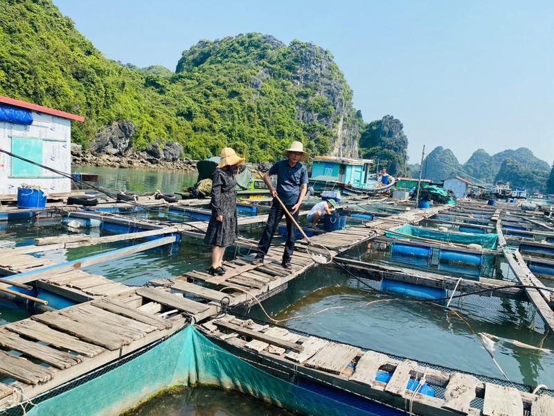 Nơi có thể chạm tay vào lịch sử bảy nghìn năm ảnh 3