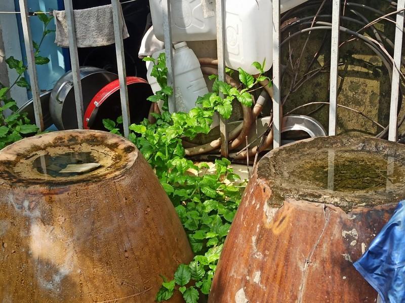 Cận cảnh nơi phát sinh mầm bệnh sốt xuất huyết nhà nào cũng có ảnh 6